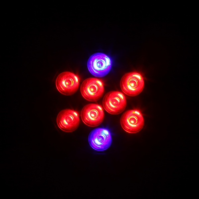 Indoor Full Spectrum Led Grow Bulbs 9w For Smart Home For Vegetables Flower Hydroponic Plants