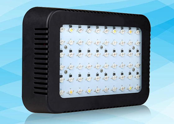 Double Chips 300w Led Grow Light Full Spectrum Indoor Lamp For Greenhouse Veg Flowering