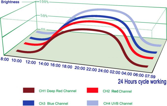 wifi kontrolü farklı zaman için farklı parlaklık ile ışık büyümeye yol açtı