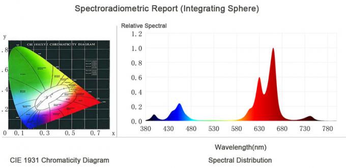 spektral test raporu