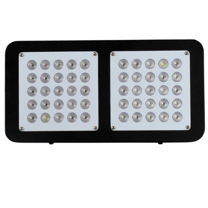 150w tam spektrum ışıkları büyümeye yol açtı