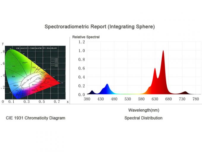 spektrum testi raporu