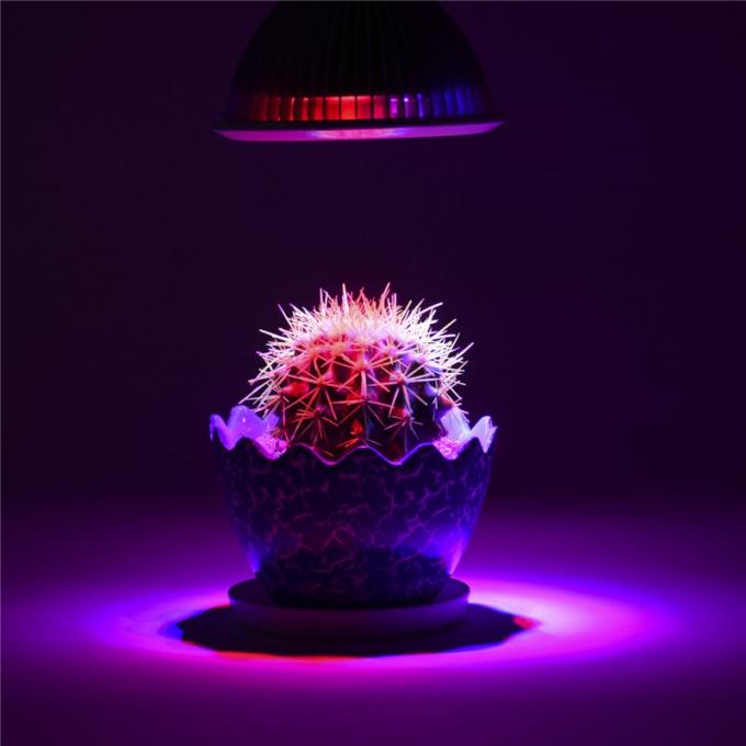 led ışık büyümesi uygulaması